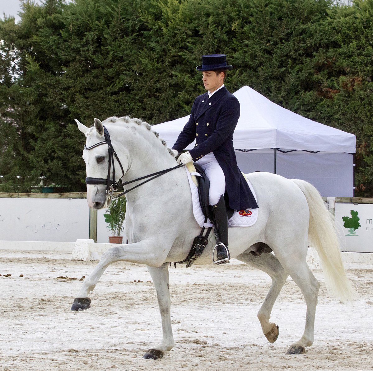 Bariloche Vasco Mira Godinho IMG_6486_c.jpg