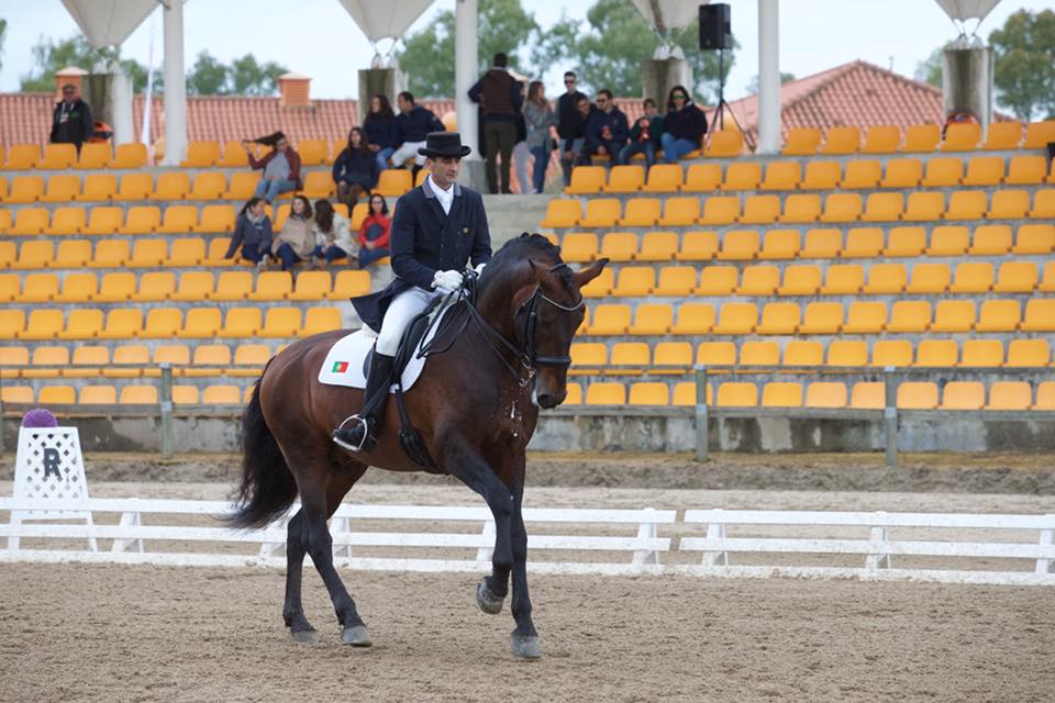 Beirão AR ( Rubi AR X Joca AR ) .jpg