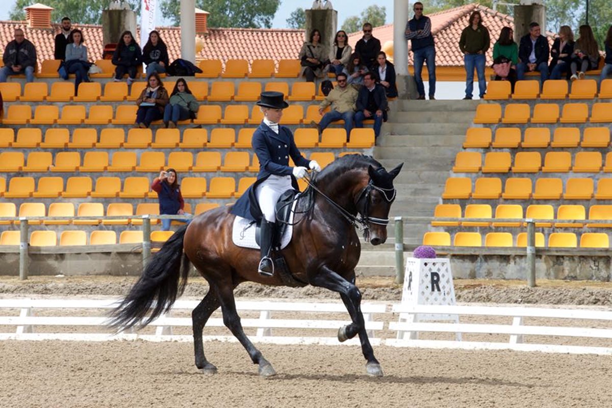 Fenix de Tineo ( Rubi AR X Oheide AR).jpg