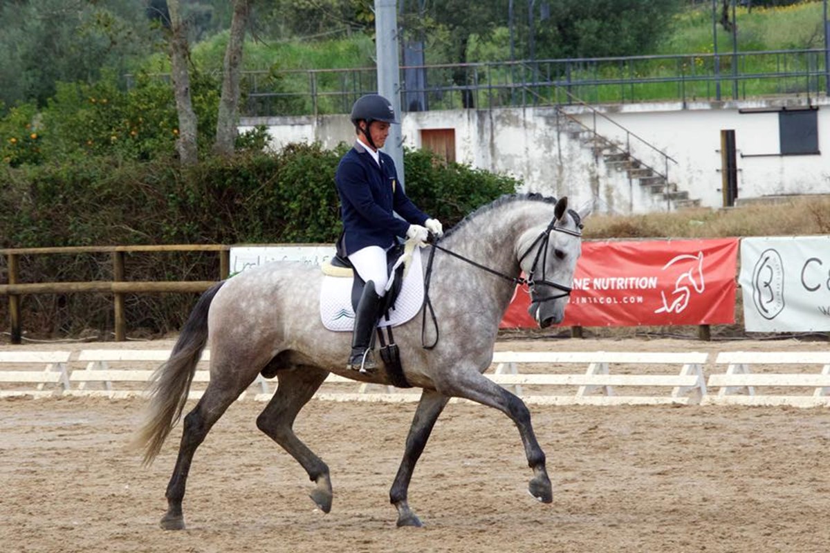 Imperador dos Cedros ( Rubi AR X Hostil JGB).jpg