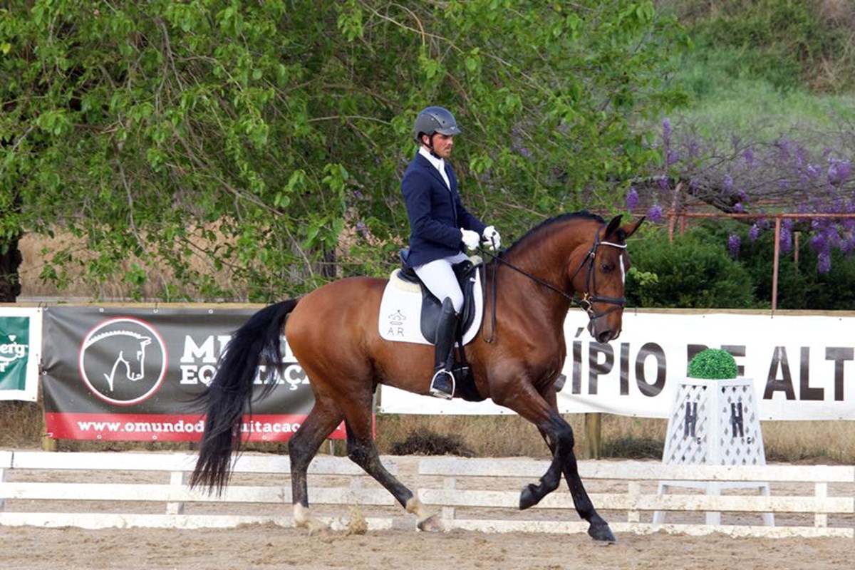 Jockey AR ( Coronel AR ( by Rubi AR ) X Berinjela AR ( by Rubi AR ).jpg