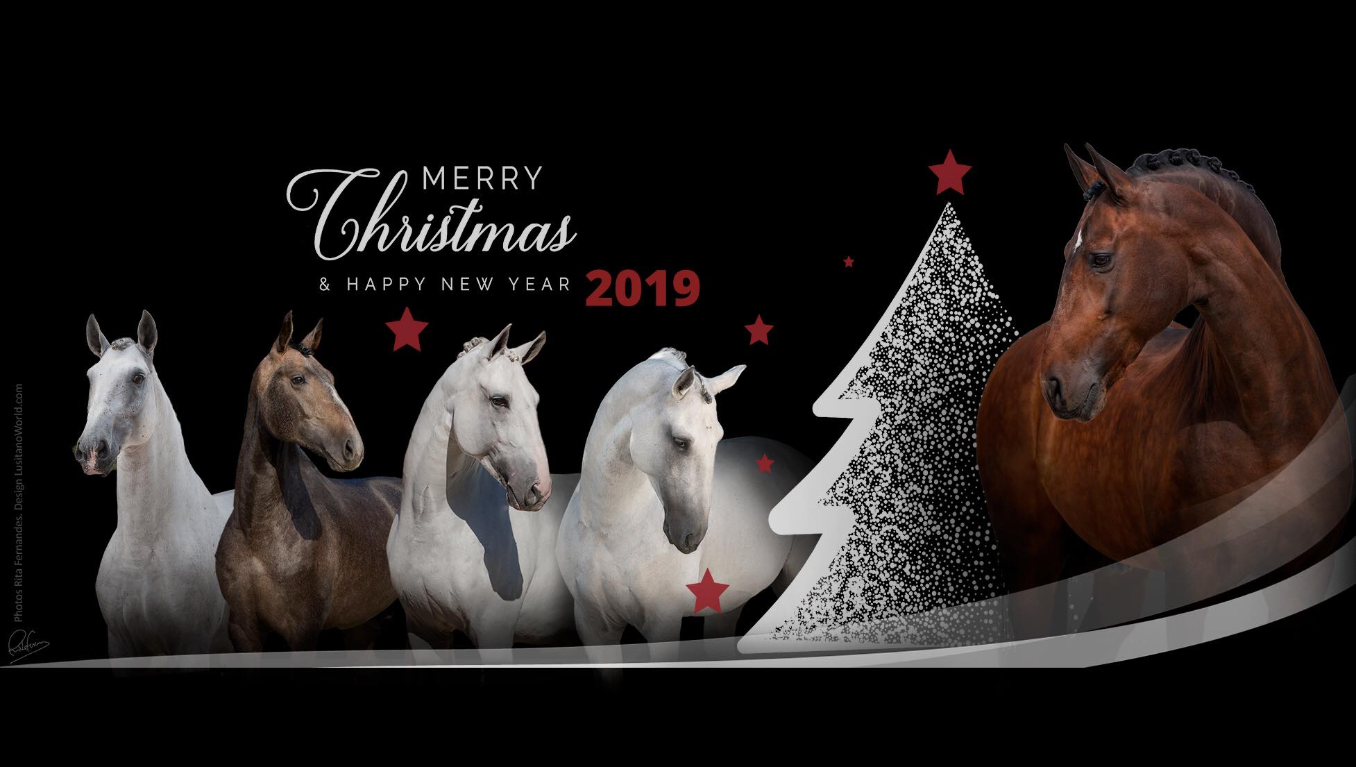Merry Christmas and a Happy 2019