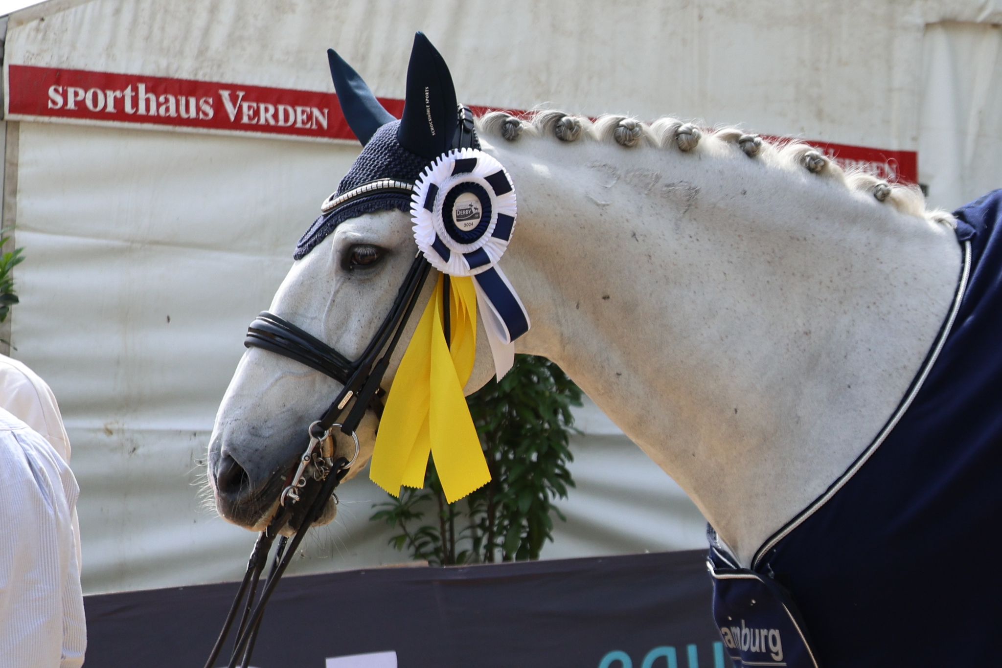 WhatsApp Image 2024-05-14 à 16.00.09_98dd39f7.jpg