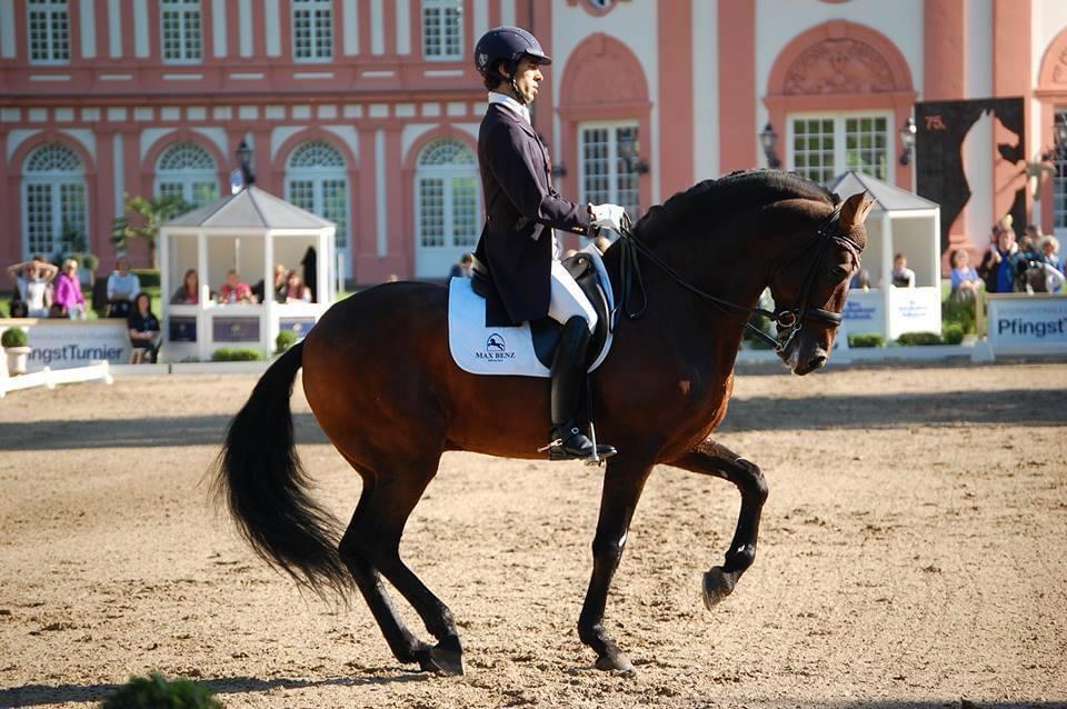 WhatsApp Image 2024-06-06 à 10.20.13_caf4b6a4.jpg