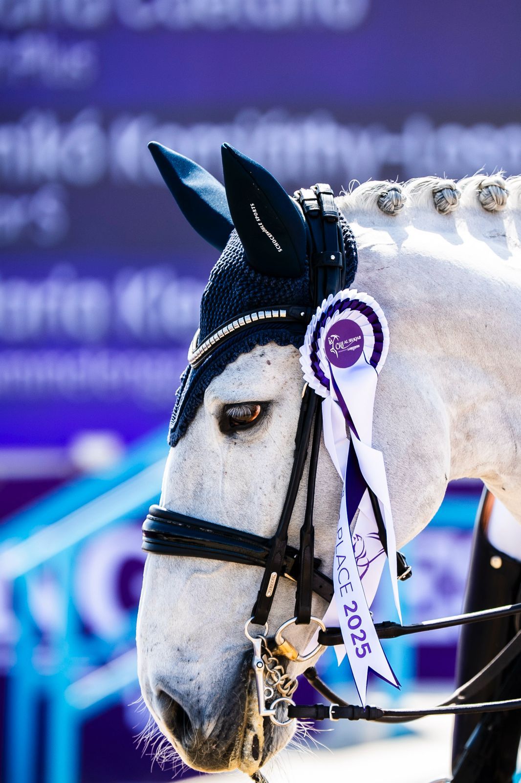 WhatsApp Image 2025-03-09 à 14.32.07_34d35bfd.jpg