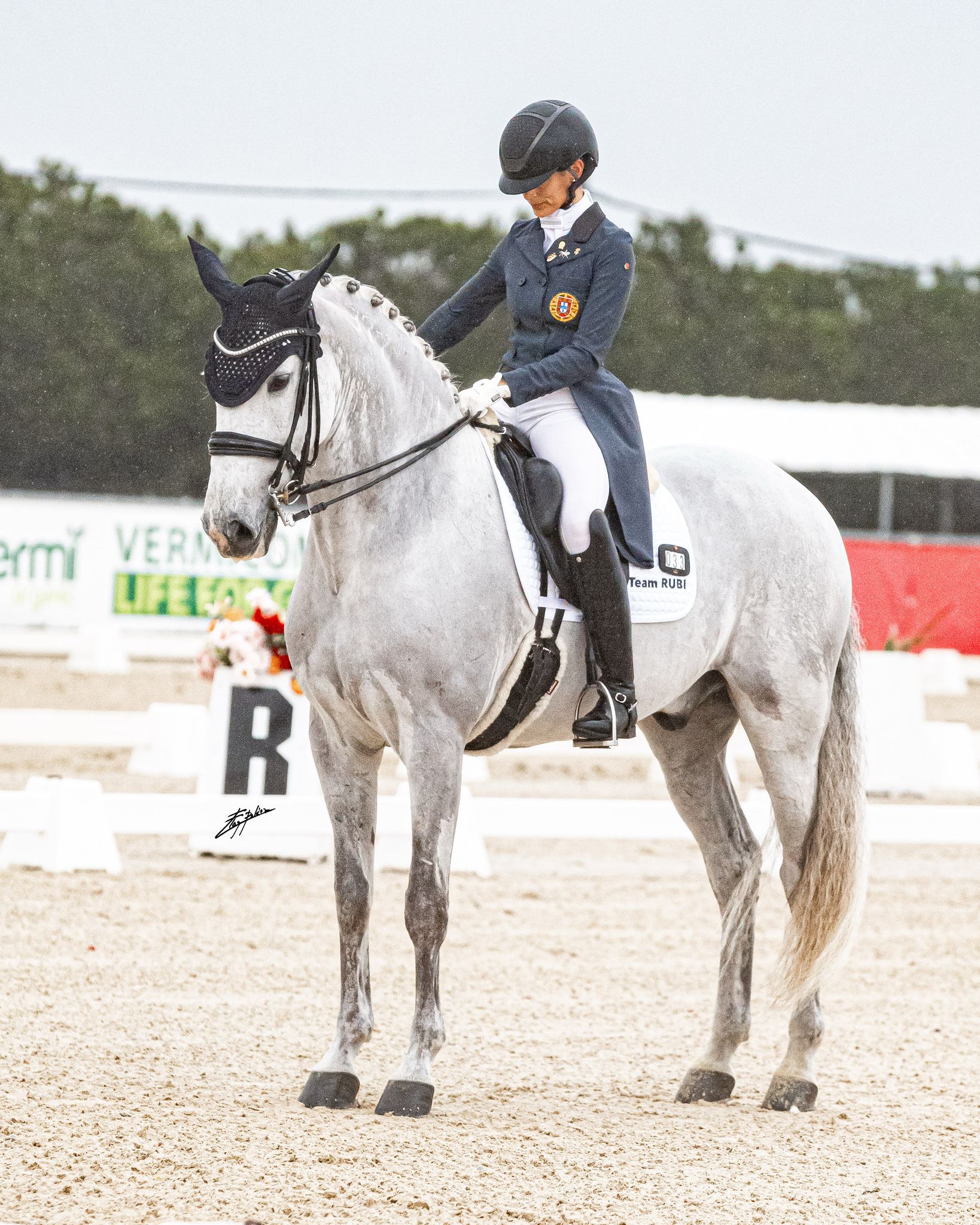 WhatsApp Image 2025-03-24 à 09.45.14_5fc4e3df.jpg