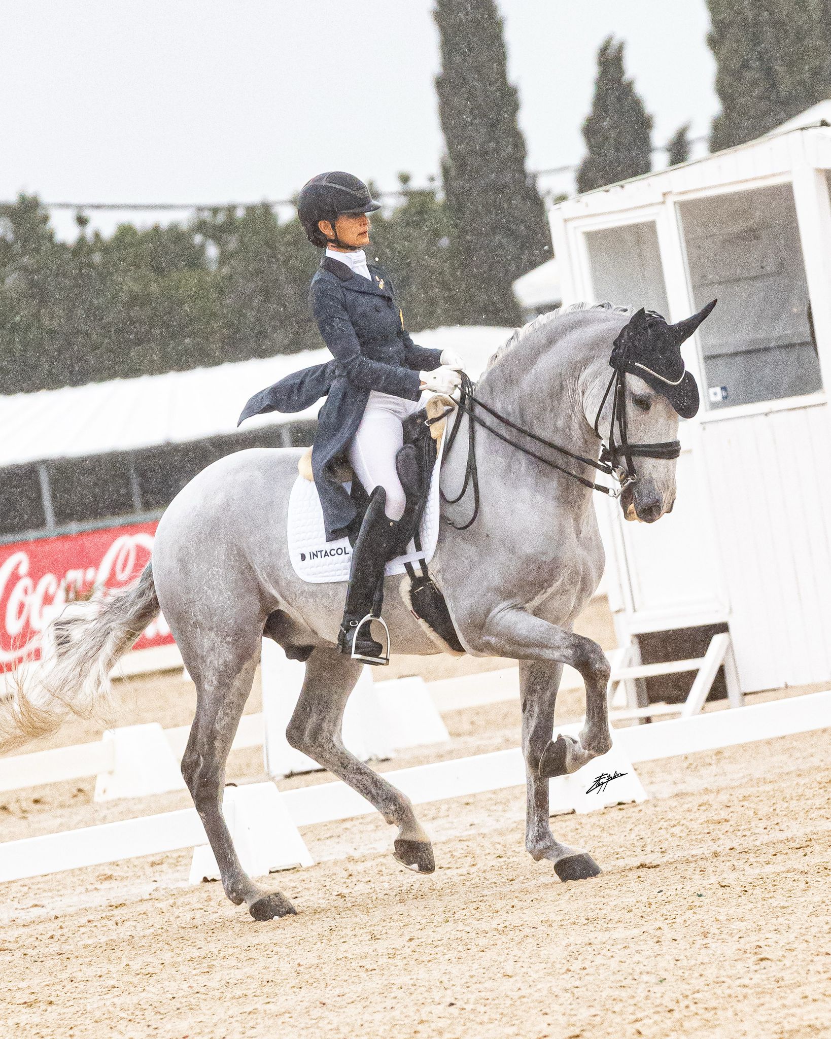 WhatsApp Image 2025-03-24 à 09.45.14_c000f1d1.jpg